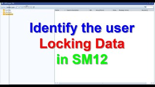 Identify the user Locking Data in SM12 Identify the user Locking Data in SM12