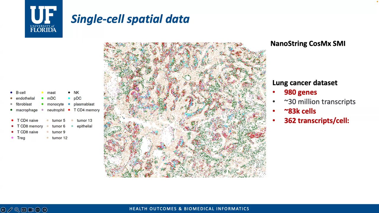 "Graph Artificial Intelligence for Multi-Modal Biomedical Data" by Dr. Q. Song of University of FL