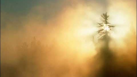 سورة الزمر القارئ ابراهيم بن على عكر