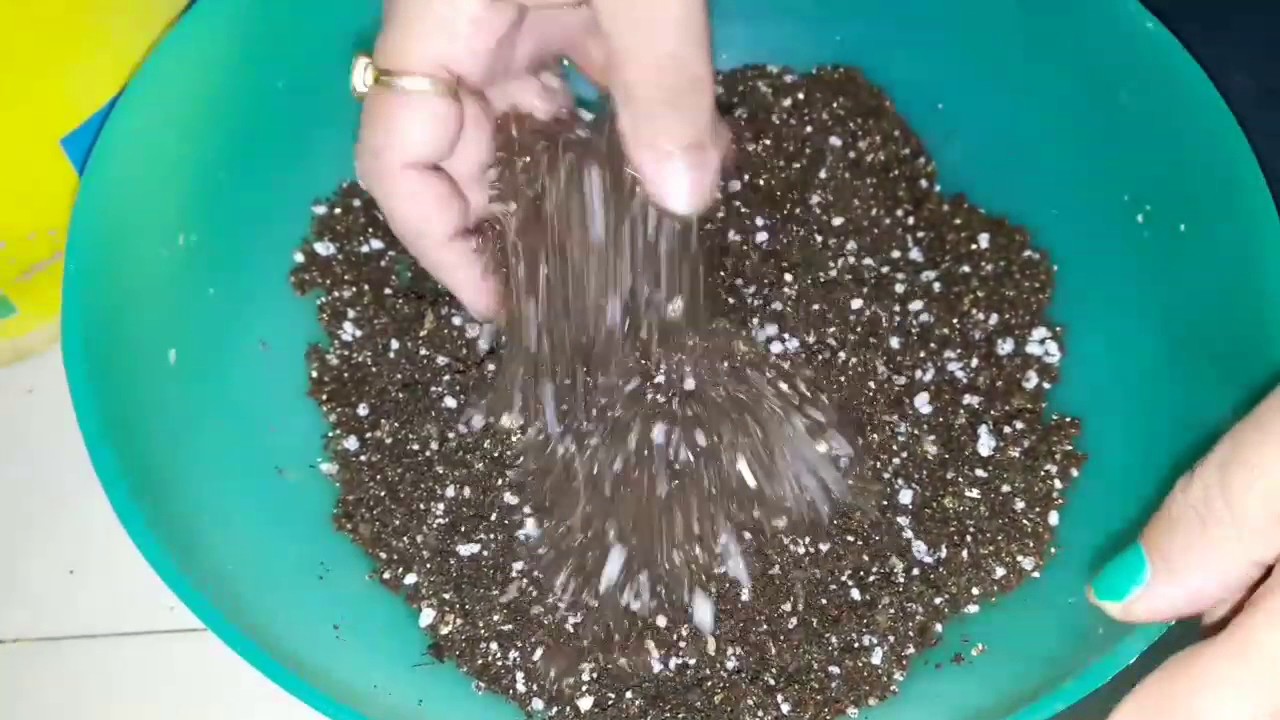 Coco Peat Potting Mix How To Make