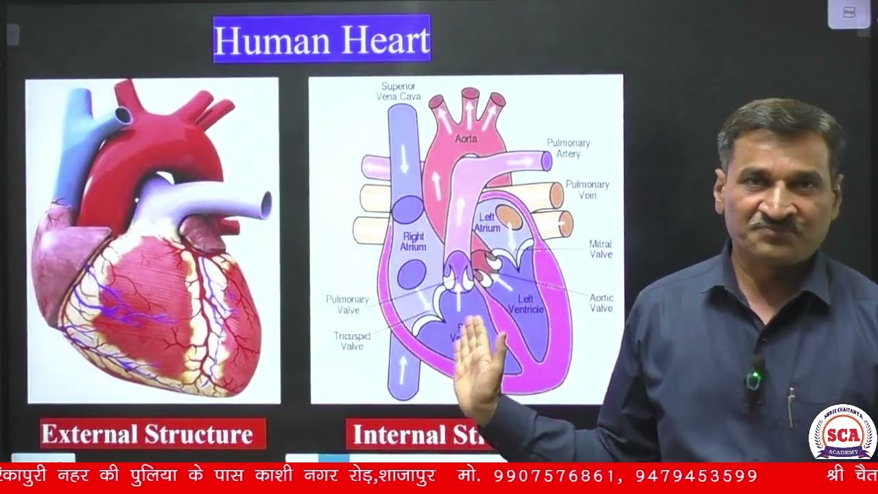 Human heart |Heart attack | Symptoms before Heart Attack | Major causes & precaution of heart attack