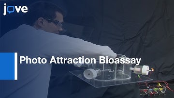 Key Elements Of Photo Attraction Bioassay For Insect Studies-Monitoring Programs l Protocol Preview