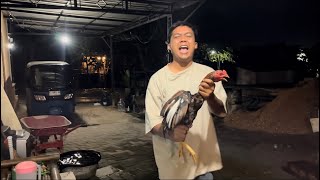 Dimas Zaenal Si Mantan Pencuri Ayam Tetangga   Delok Kui Ngger Cara Nyekele Wes Ketok 