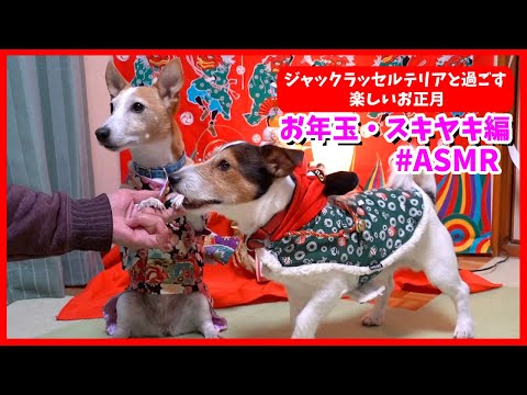 ジャックラッセルテリアと過ごす楽しいお正月−お年玉とスキヤキ編