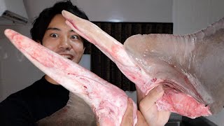 【奇食】サメの巨大『ちんちん』にカブりつくと衝撃の味だったwww