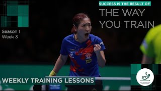 Weekly Training Lessons - Switching Backhand Down The Line | High Performance & Development