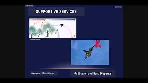 Supportive Ecosystem Services