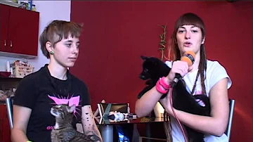Co znamená krev ve stolici psa?
