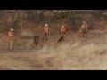 Teaching a Labrador Retriever Part 2 Teaching a Labrador Retriever Part 2