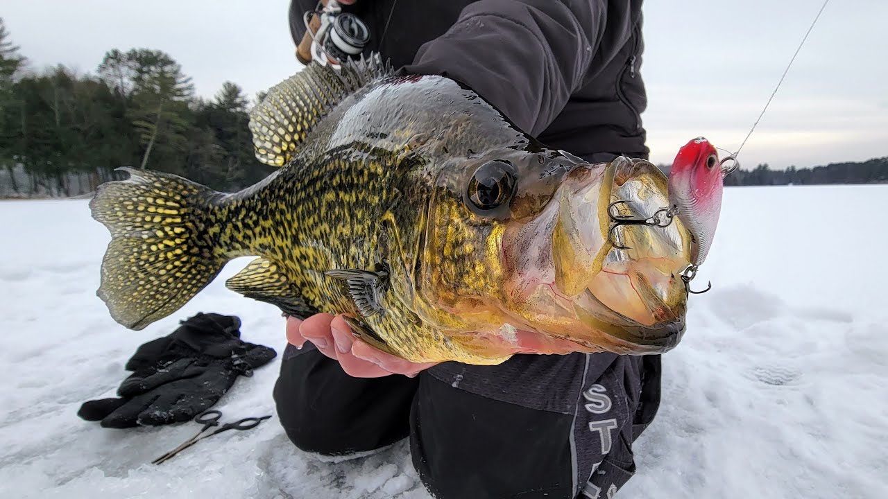 Chasing Down Giant Slab Rap Eating Northwoods Crappies In Depth