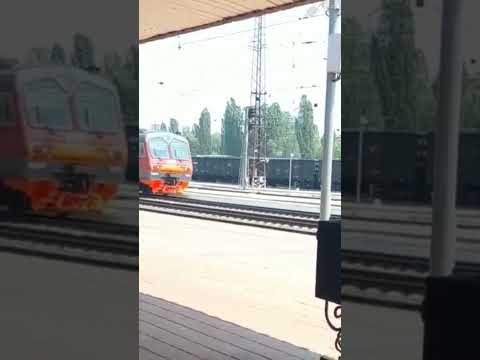 #shotrs Эд4м Белгород-Сараевка
