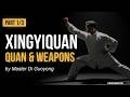 Xingyi Quan and Weapon Routines Appreciation by Master Di Guoyong Training | Part 1/3 [DW079-08]