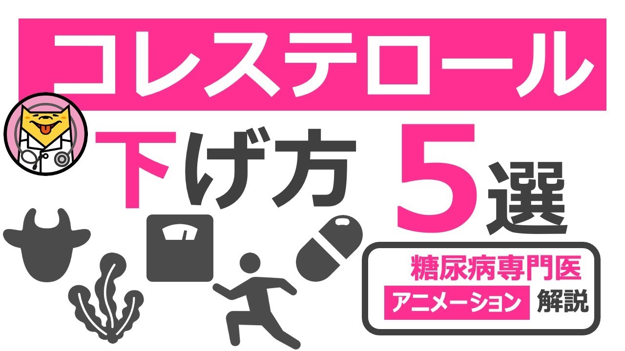 悪玉コレステロールの下げ方5選【20分で糖尿病専門医がアニメーションで解説】