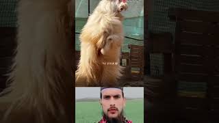 Bakra Eid Mubarak 🌹 Qurbani 🌹#bakra #eid #shorts #viralvideo #youtubeshorts #video