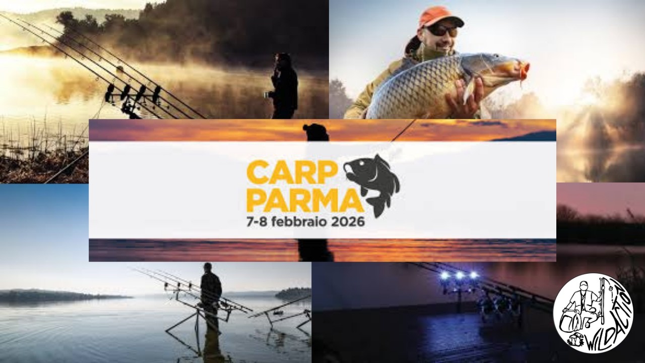 CARPFISHING 🎣 - In FIERA al CARPARMA 2026  🔴