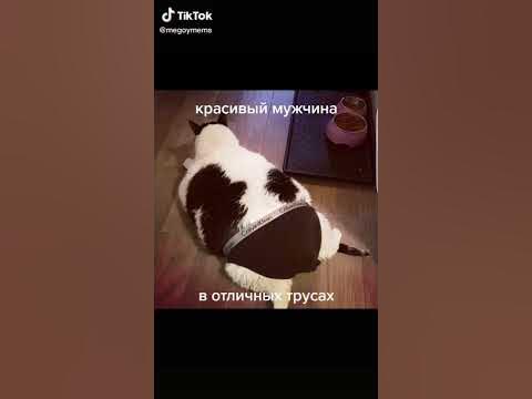 Красивый мужчина .В отличных трусах - YouTube