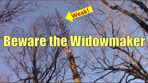 How to Identify a Widowmaker