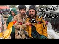 Khana Pull Sunday Birds Market | Aseel Murgh Mandi In 2025 | Shahzain Animals Vlogs