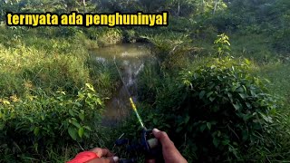 siapa sangka parit sekecil ini dihuni sang predator‼️ Daiwa PR100 ft capung662bc