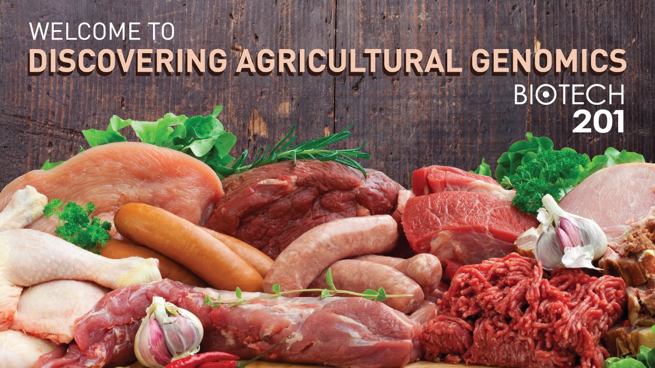 2015 Biotech 201 Session 3 Livestock YouTube