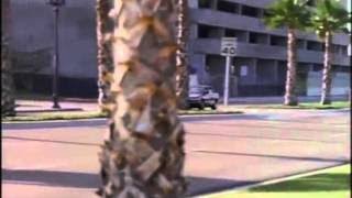 Silk Stalkings S1E22 DVDRip Watch Online