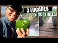 3 LUGARES que DEBES conocer en GUATEMALA 😲🇬🇹 | GT en 7 días #6