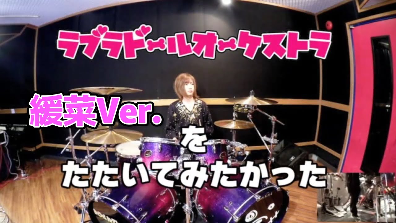 緩菜『ラブラドールオーケストラ』 を叩いてみたかった　【DOG inThePWO】