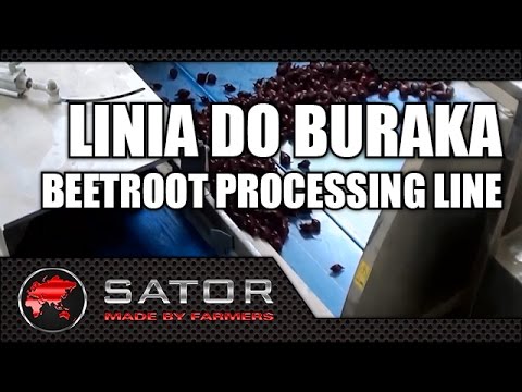 Sator - Linia do buraka / Beetroot Processing Line
