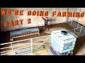 Building sheep pens and fixing feeders on a budget farming