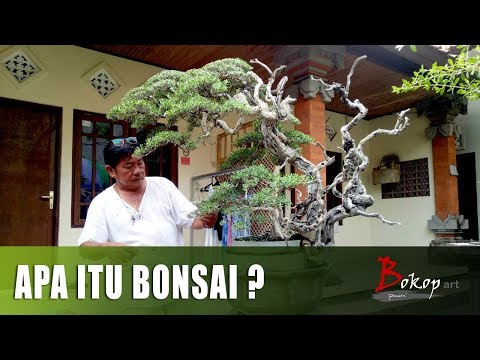 APA ITU BONSAI ? by Rudi Julianto