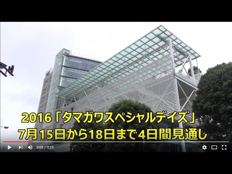 16夏 玉川高島屋s Cバーゲン見通し Youtube