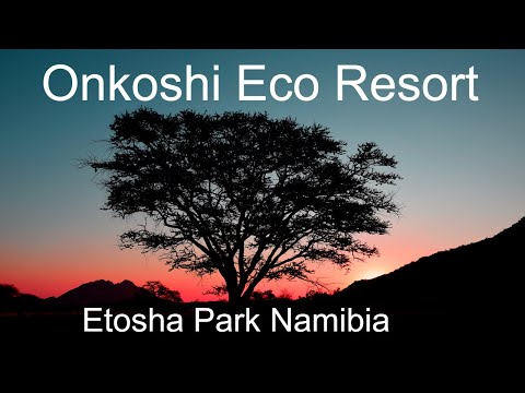 Onkoshi Resort inside Etosha National Park Namibia. Eco resort Etosha Park