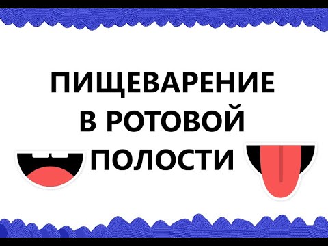 Пищеварение в ротовой полости