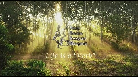 NREM Students - Riparian Buffer Controlled Burn