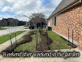 I Almost Didn’t Start My Garden… Here’s What Happened 🌱