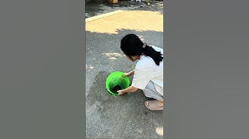 Bắt được cá chép siêu bự trên đường #shorts