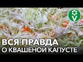 ОСТОРОЖНО, КВАШЕНАЯ КАПУСТА! К чему приводит частое употребление ферментированных продуктов?