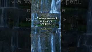 Citation du jour Abonnez-vous pour plus de citations #citation #shorts