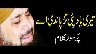 Teri Yaad Pai Tarpandi Ae | Tearful Kalam | Owais Raza Qadri