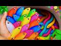 Catch beautiful aquarium fish in small pond baby turtles, eel, koi, pencil fish, nemo fish, 🐠🫧🌿