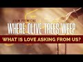 What is Love Asking from Us?: Dr. Gabor Maté &amp; Tara Brach