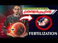 Fertilization in human||ایک خلیے سے انسان تک کا سفر||syngamy||capacitation of sperm