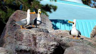 I Gabbiani Di Nemo Mio - Nemo Seagulls Mine