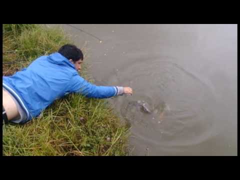 თევზაობა ზიარის ტბაზე - ziari lake ვიდეო 01