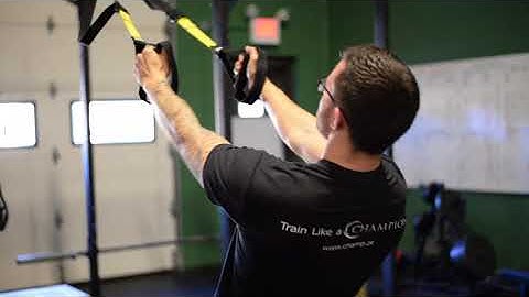 TRX Reverse Fly