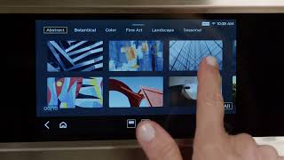 Navigating Settings and Backdrop