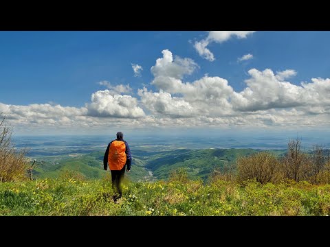 Video: Rezervația naturală de stat Zeysky, regiunea Amur