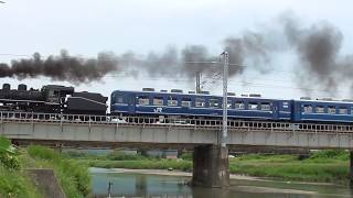 SL C56 北びわこ号 ラストラン と 大井川鉄道 C56 44