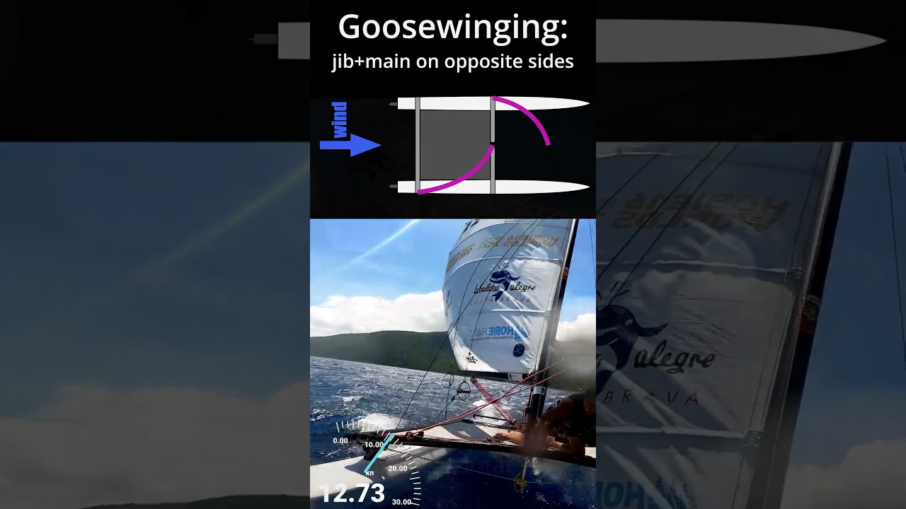Goosewinging - Sailing Terms Explained #shorts #catamaran