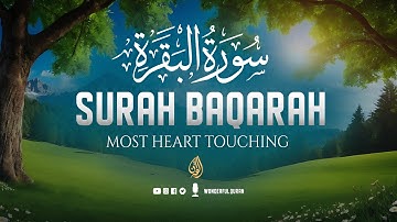 Surah Al-Baqarah سورة البقرة Full Majestic Voice That Will Deeply Touch the Soul | WonderfulQuran